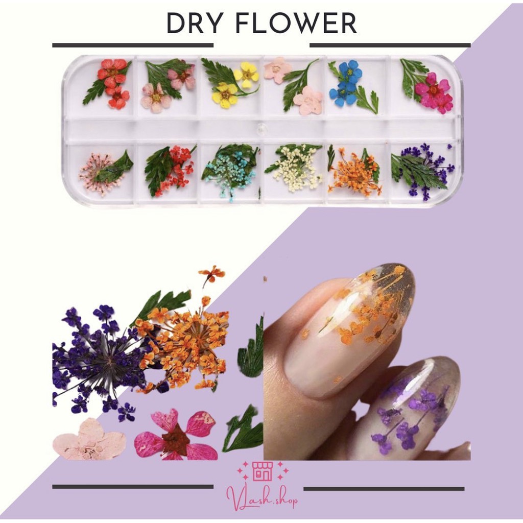 BUNGA KERING - HIASAN KUKU DRY FLOWER