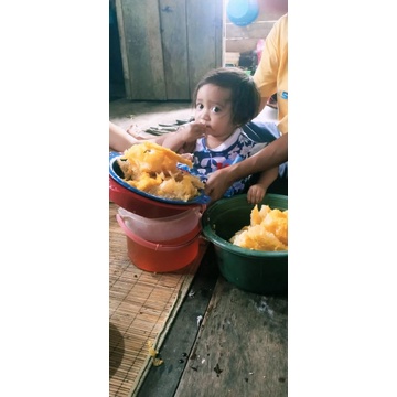 

MADU LEBAH HUTAN ASLI KATINGAN KUALA