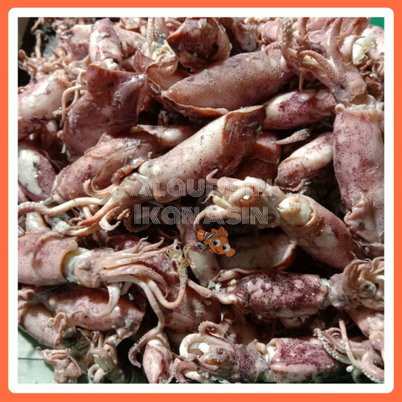 

Ikan Asin Cumi Rebus / Sontong Cumi Telor 500gram