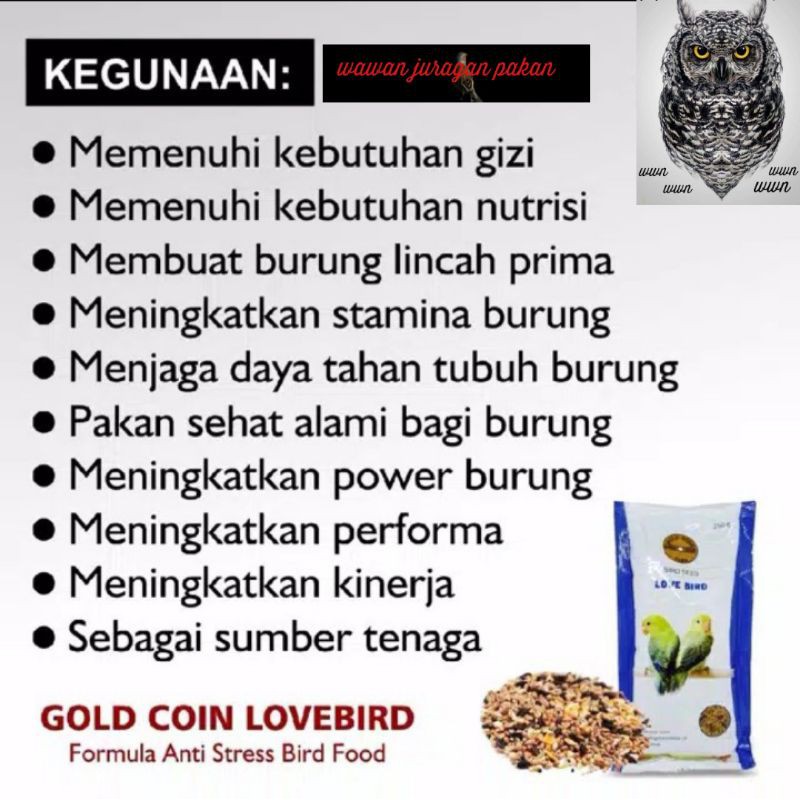 gold coin lovebird, pakan Lovebird gold coin