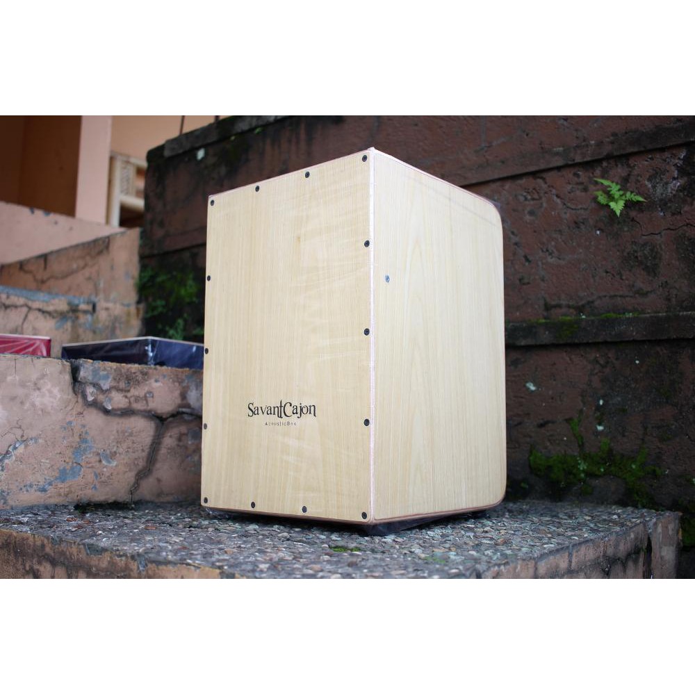 Cajon Savant Eclipse