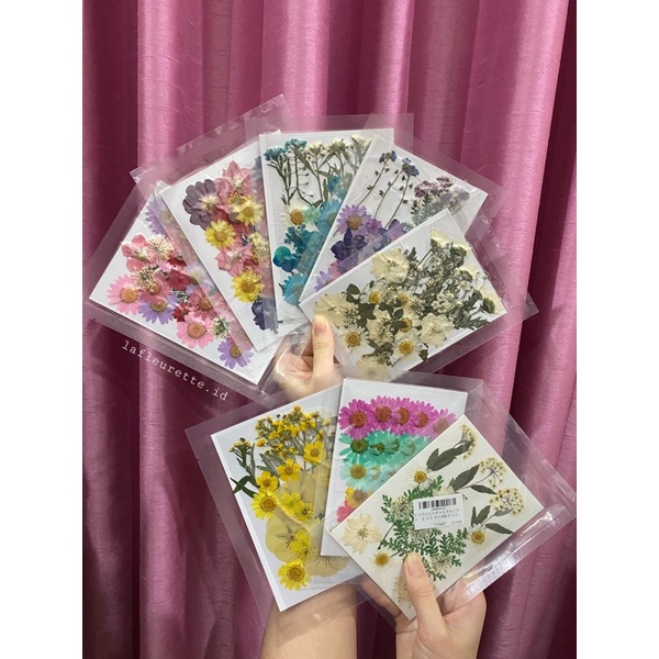 READY STOCK! Bunga Kering/Pressed Flower Mixed Natural Dried Flowers untuk DIY Art Floral Decors