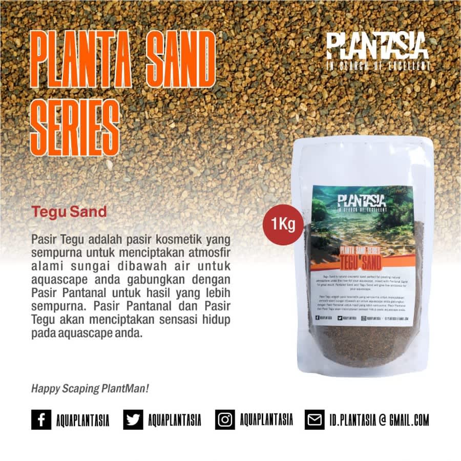 Tegu sand/PasirKomestik - Plantasia Produk