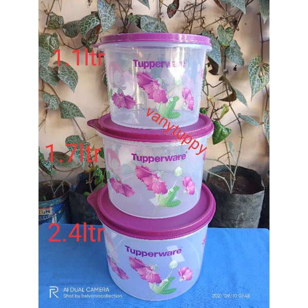 Tupperware toples susu Daisy canister 1pcs
