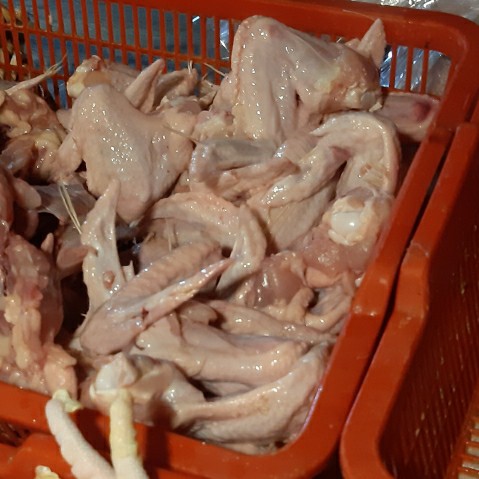 

sayap ayam 1kg (1000g)