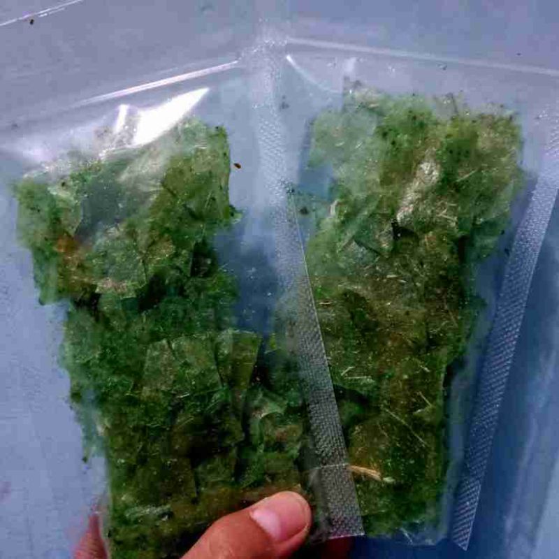 

kripik kaca rumput laut 30gram
