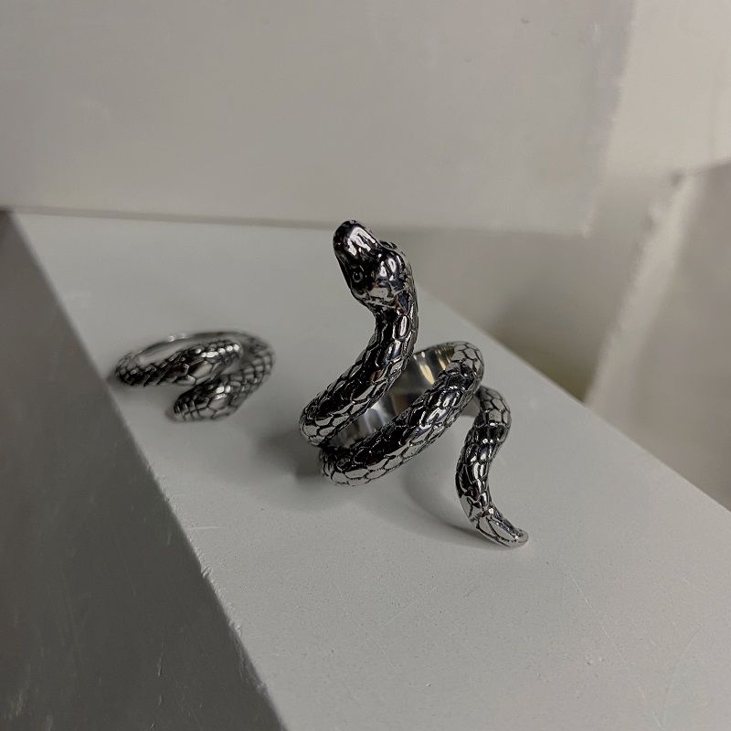 Snake Winding Ring Fashion Street Retro Personality Hip-hop Tide