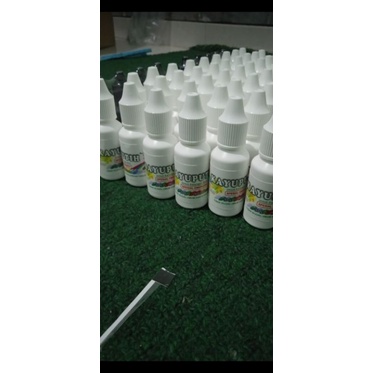 KAYU PUTIH Mint Herbal Tetes Obat Gangguan Paru-Paru, Sesak Nafas, Batuk, Influenza Ampuh-4