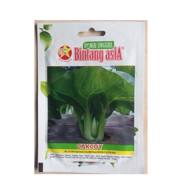 Benih Pakcoy Bintang Asia
