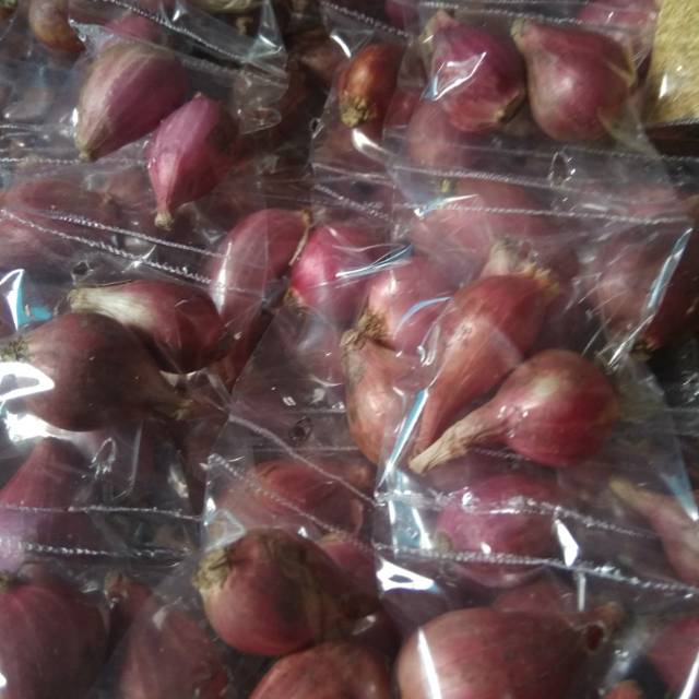 

Bawang merah renceng / gantungan kualitas TOP
