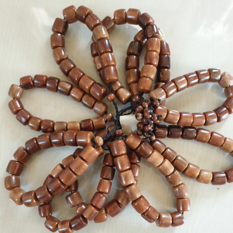 GELANG KOKKA KAUKAH marjan  besar gelang kokka  marjan dewasa