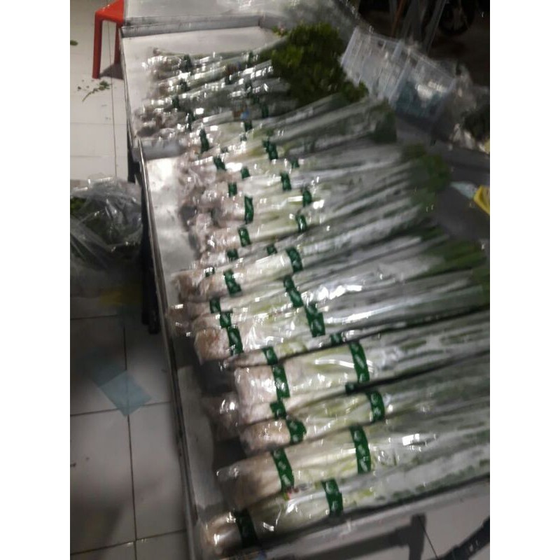 

bawangdaun