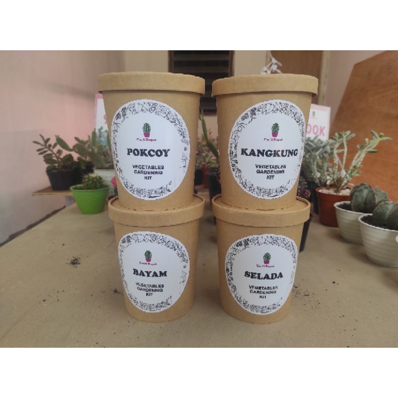 vegetables gardening kit