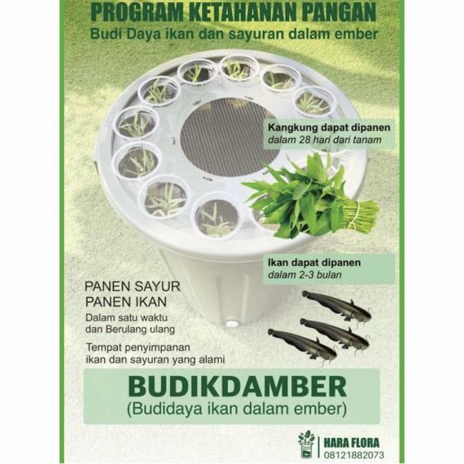 Ember Budikdamber Paket A