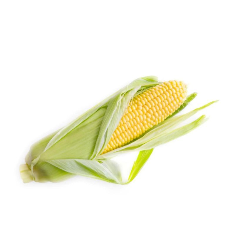 

jagung muda manis kupas 1 buah (besar)