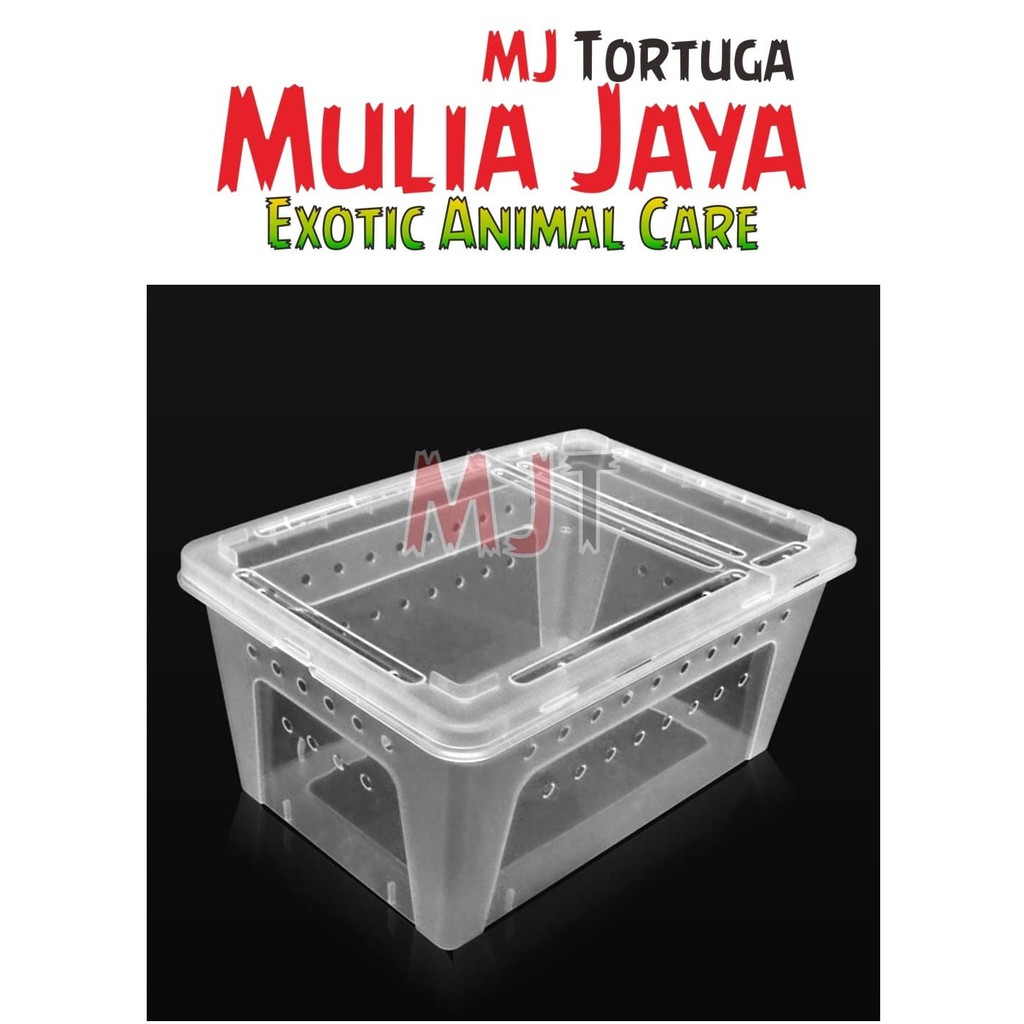 Kandang Tarantula Enclosure Tarantula Box Reptil L 32x22x15cm Iguana Bearded Dragon Gecko Nomoy H5