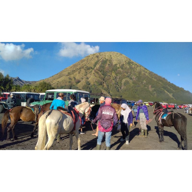 Travel Wisata Malang Batu Bromo