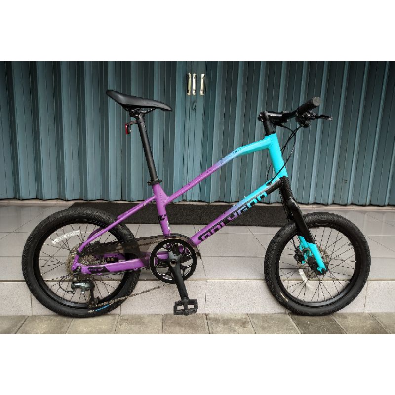 Polygon Zeta 2 Mulus