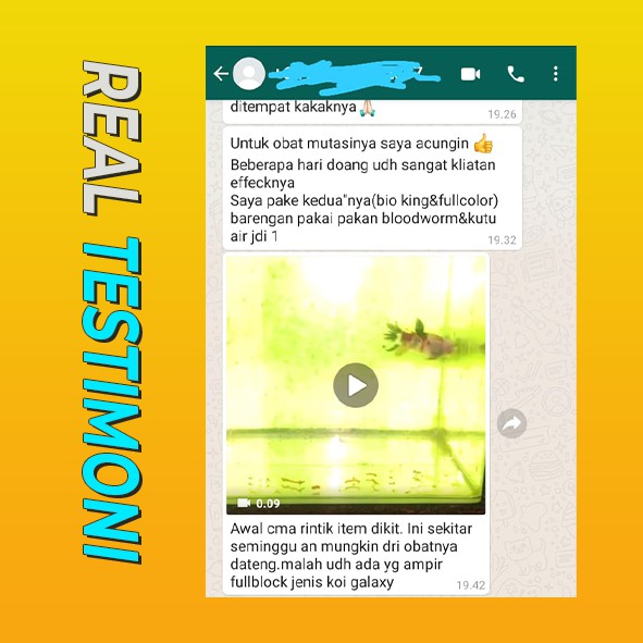 OURFISH - Fullcolor Obat Mutasi Ikan Cupang Multicolor Mempercepat Full Block Meningkatkan Pigmentasi