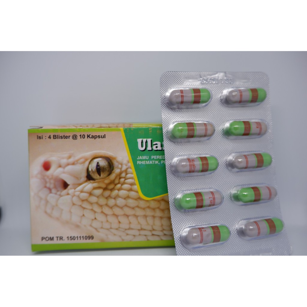 

Jamu ULAR PUTIH ORIGINAL