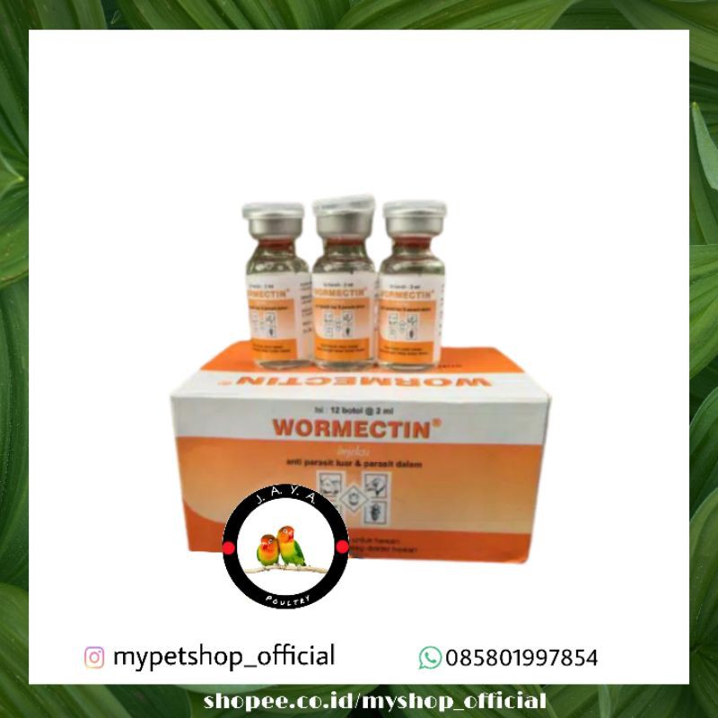 WORMECTIN 2ML