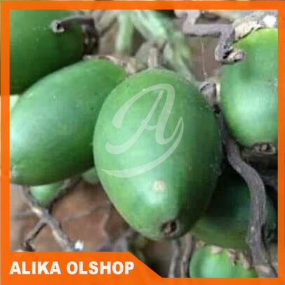 

buah pinang muda 500 grm