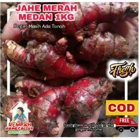 

jahe merah medan 1kg /Jahe Merah Segar / jahe merah fresh masih ada tanah