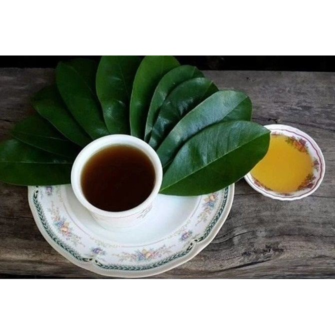 

Daun Sirsak / Muris Herbal Organik (SEGAR) - Obat Kanker