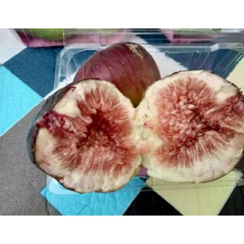 

(PROMO 0HI52) Buah tin Ara yordania fresh Organik 150gram ✬