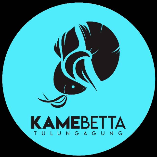 kame_betta
