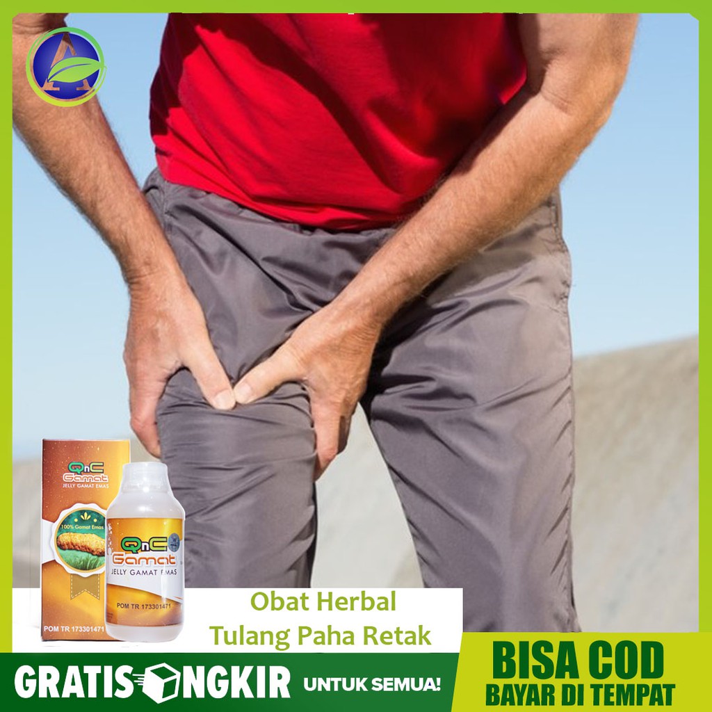 Obat Herbal Tulang Paha Retak, Patah Tulang Paha - Obat Tulang Retak QnC Jelly Gamat - Bisa COD