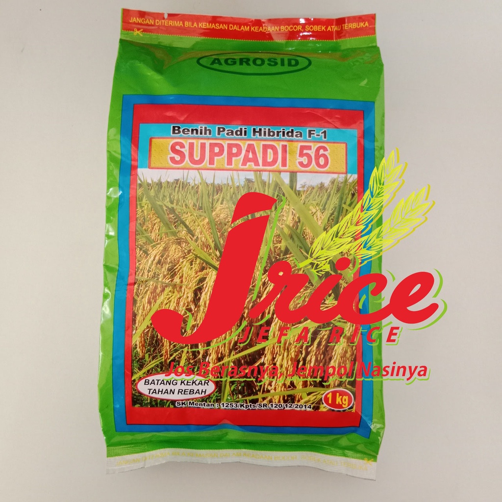 BENIH PADI HIBRIDA SUPPADI 56 KEMASAN 1 KG
