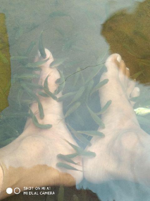 Maura Couple - Sania Ruffle Batik Couple Jumbo Ori Ndoro Jowi Dnt Garansi Termurah Shopee - Solo