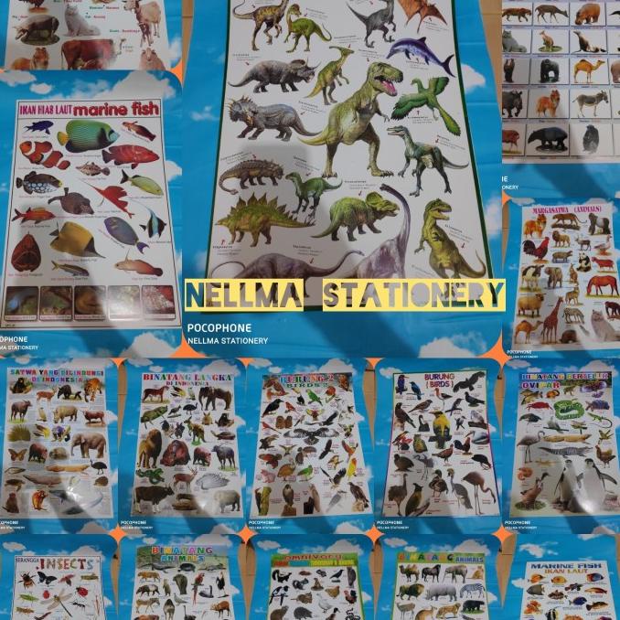 Poster Edukasi Anak Belajar Mengenal Huruf Angka Hewan Dan Buah Terlaris