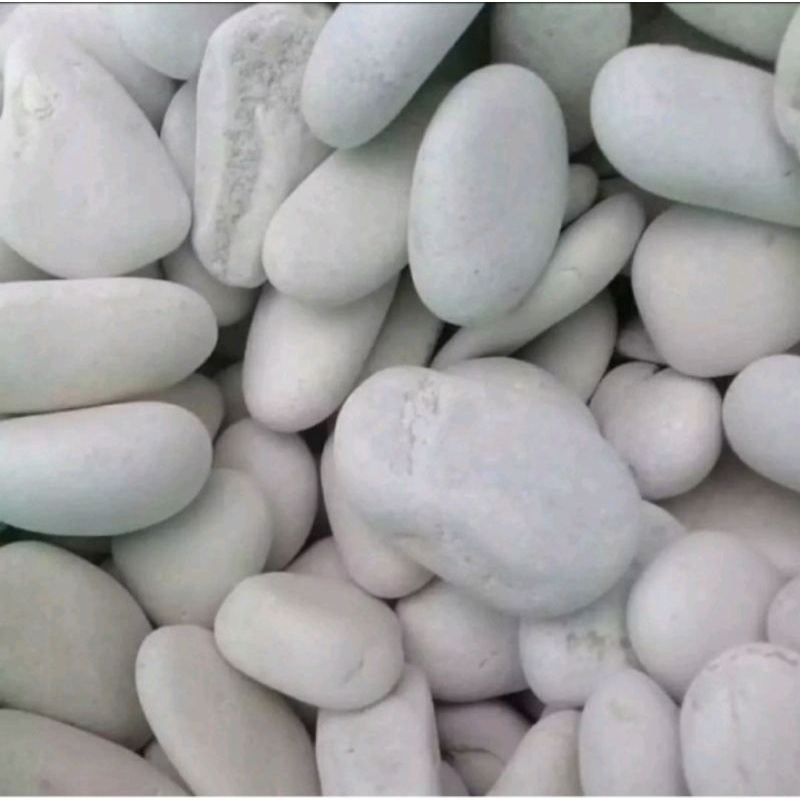 Batu koral putih,batu hiasan taman 1 karung