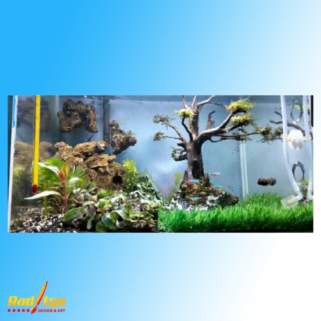 PROMO Rumput Sintetis Aquarium Tipe Swiss Stok Terbatas