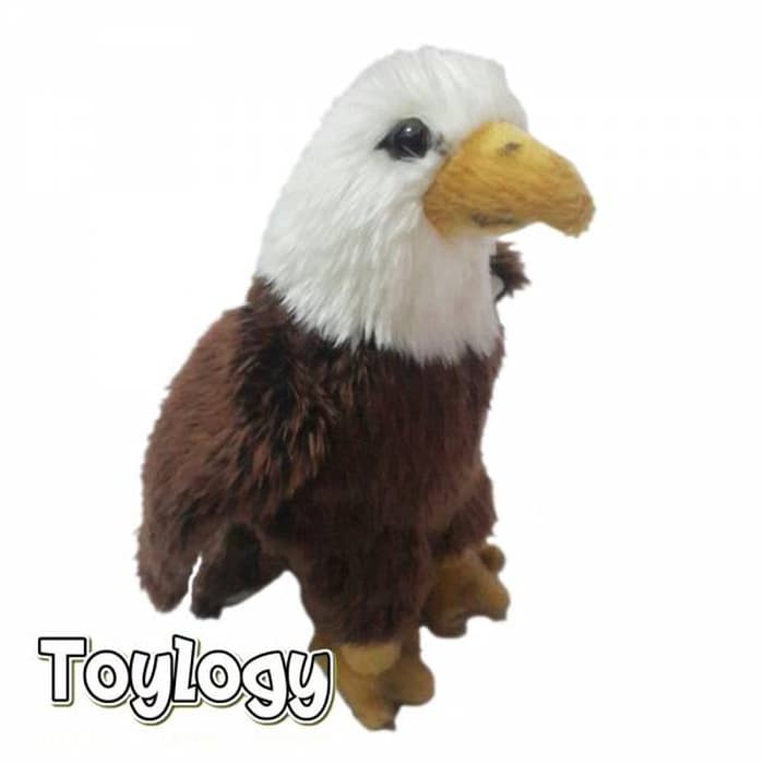 Boneka Hewan Burung Elang Eagle Doll 8 Inch Shopee Indonesia