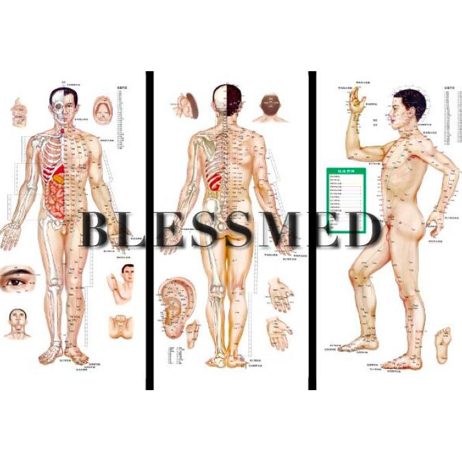 

PERALATAN MENGGAMBAR GAMBAR/POSTER TITIK AKUPUNTUR LAKI LAKI DAN PEREMPUAN ( SET OF 3 ) PERALATAN