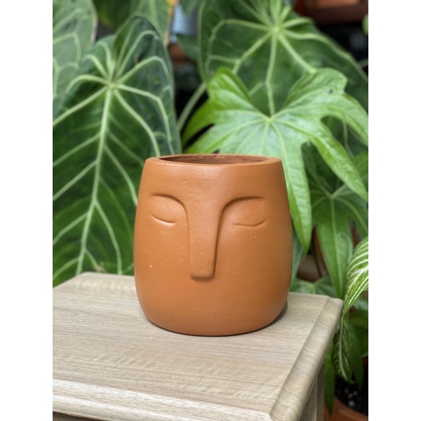 Pot muka wajah gerabah terakota tanah liat