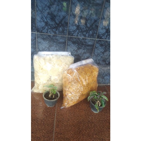 

mang ol keripik kaca (1kg)