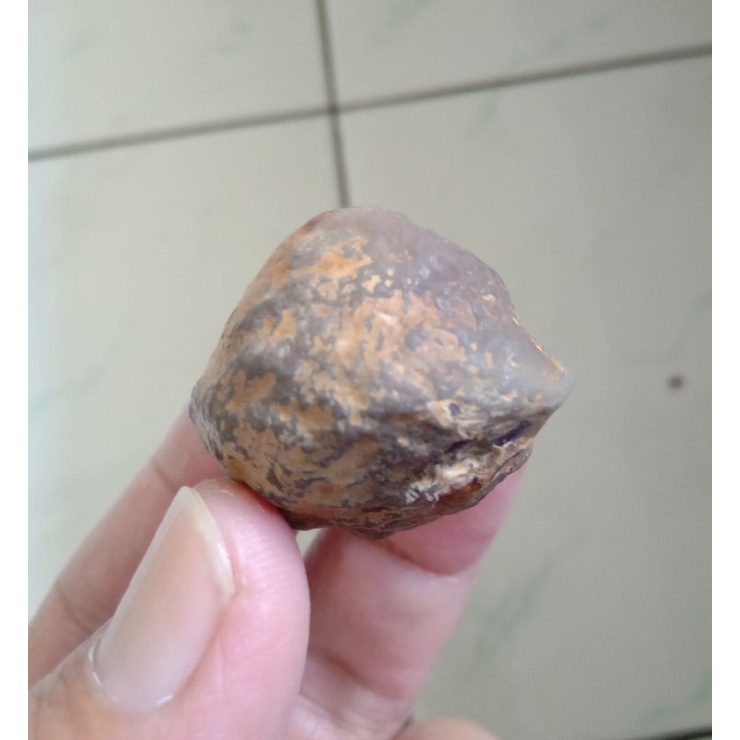 Muncang Adu Amay Anak Mayit UrGen Tua Jatuhan