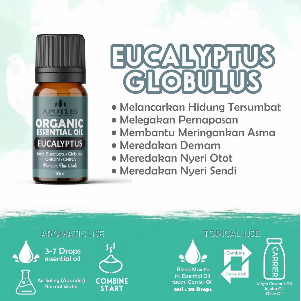 Eucalyptus Essential Oil - Minyak Aromaterapi Eukaliptus Pure Essential Oil 10ml