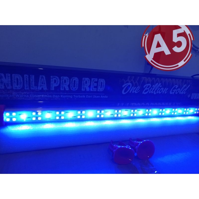 PROMO MURAH Lampu LED TANNING aquarium KANDILA PRO RED ONE BILLION GOLD 600 800 1000