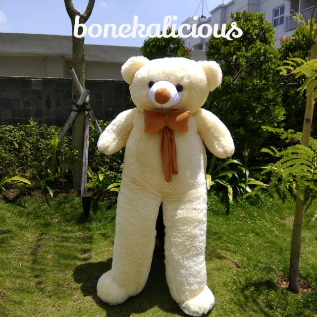 Boneka beruang teddy bear super jumbo besar 150cm 1,5m 1,5meter