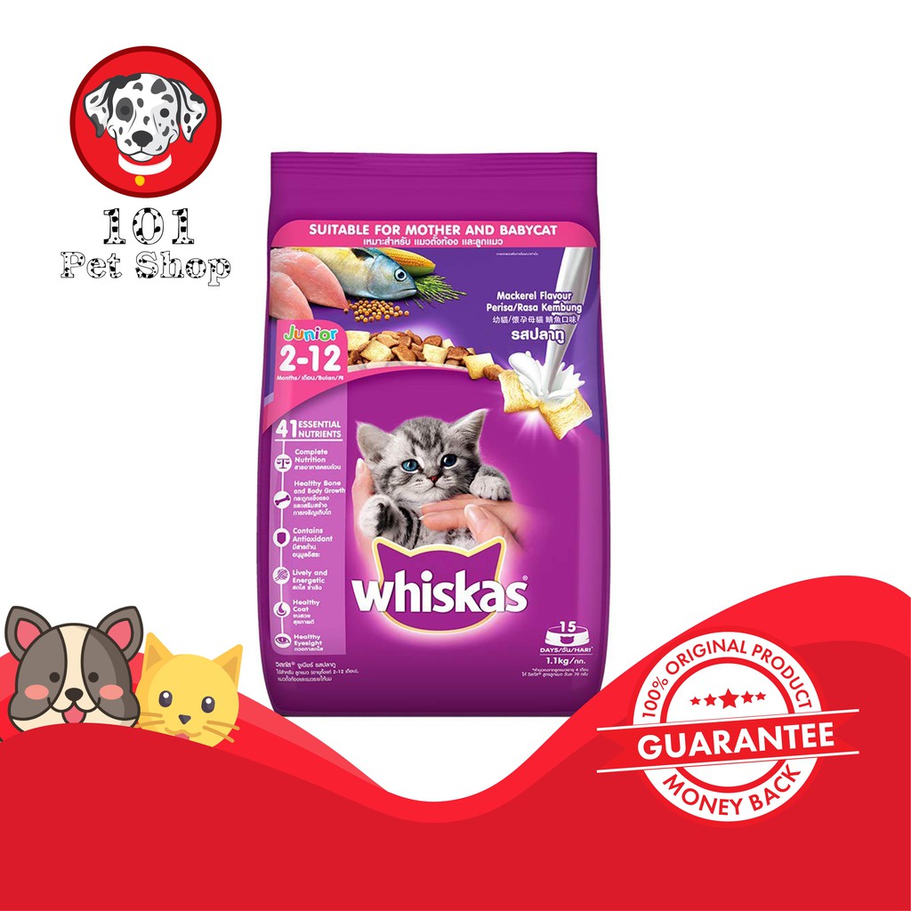 MAKANAN KUCING WHISKAS JUNIOR MACKEREL 1.1KG