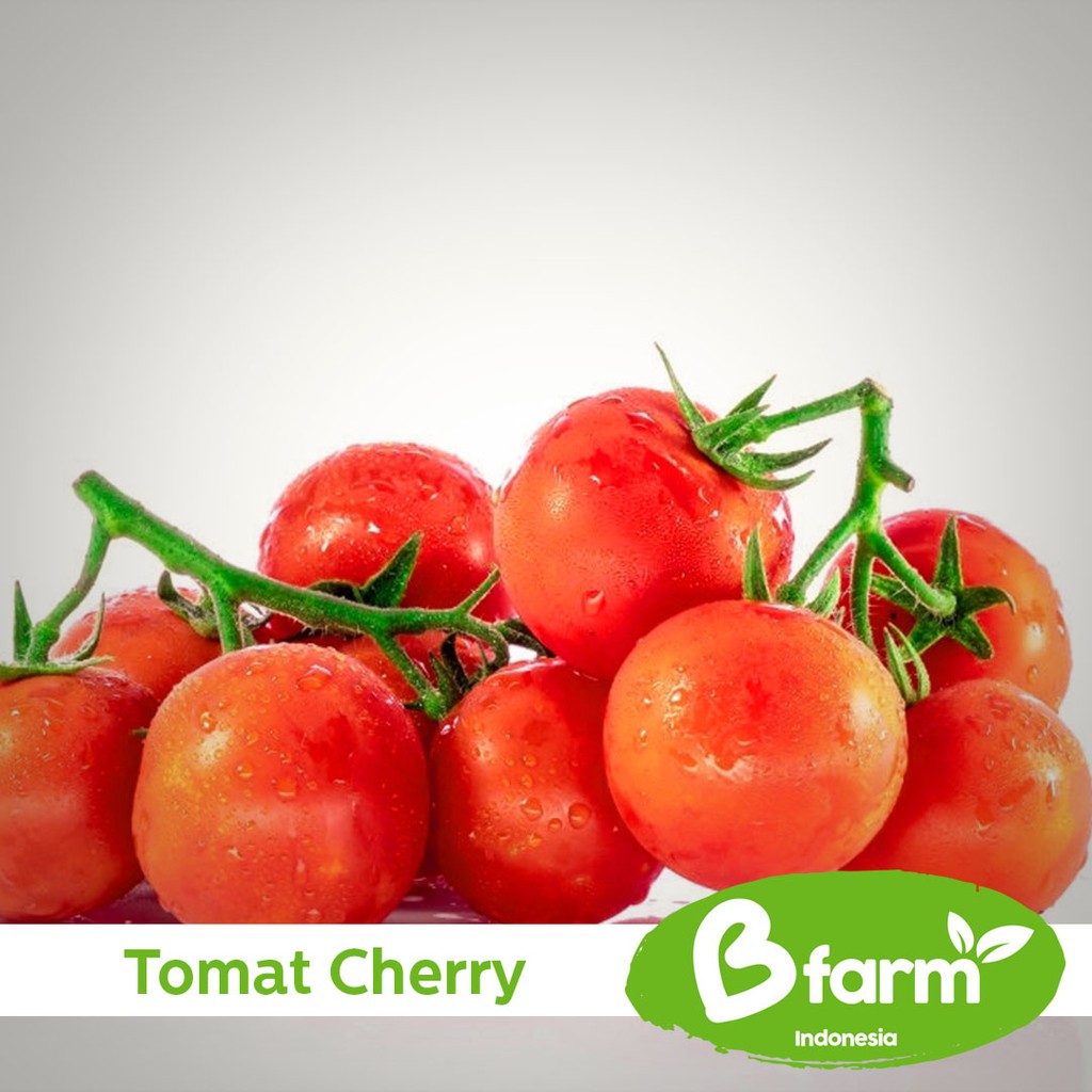 

Tomat Cherry 250 Gr (Area Bandung & Cimahi only) - Sayur Rumahan