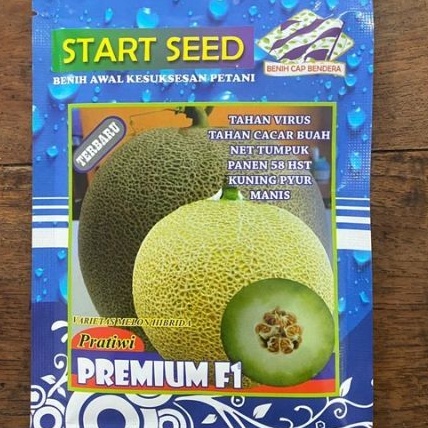 Benih Melon Pratiwi Premium F1 Start Seed