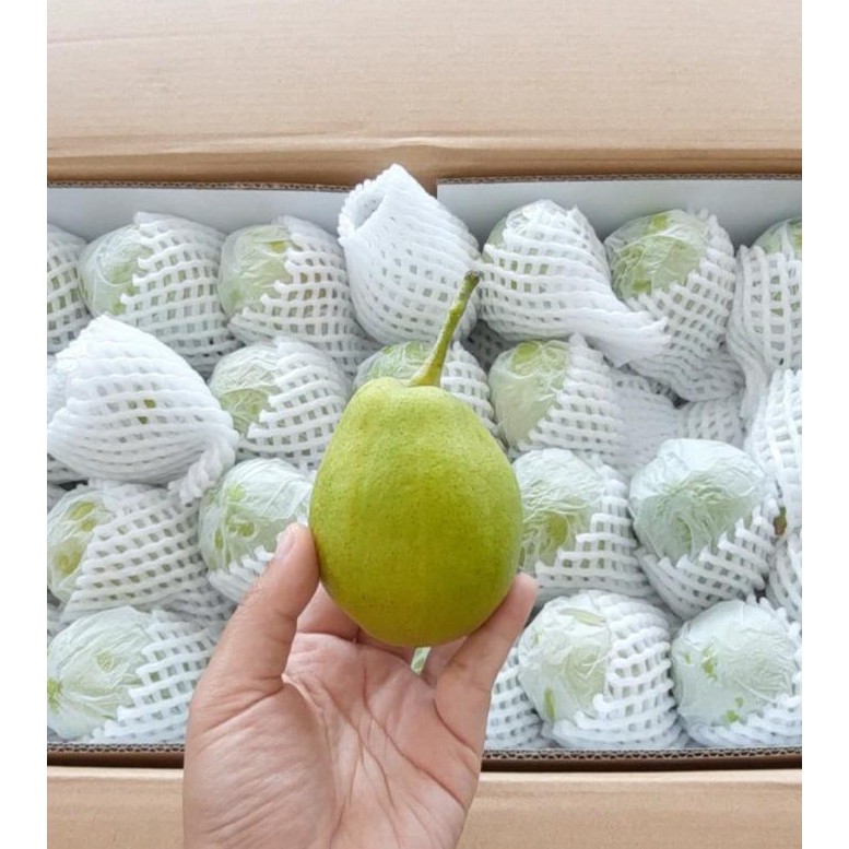 

Buah Pear Xiang lee / manis / per kg