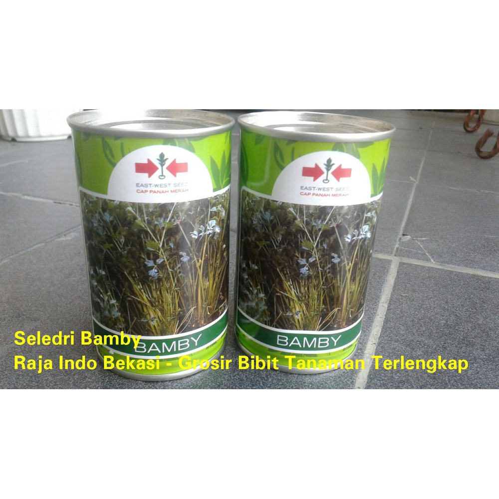 Benih Seledri BAMBY 50gram Panah Merah Seledri BAMBY Kemasan Kaleng 50 gram Tanaman Pertanian