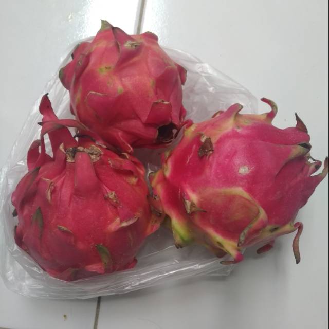 Harga buah naga merah 1 kg